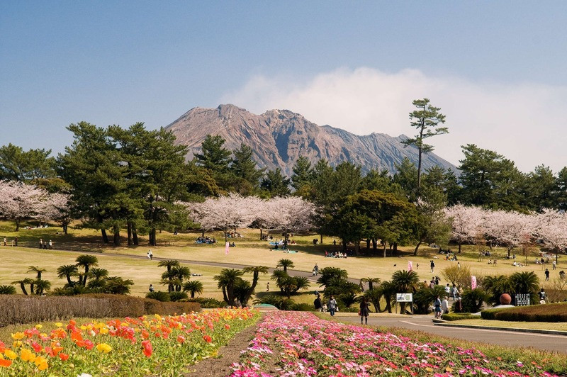 Thời điểm đẹp để du lịch Kagoshima